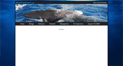 Desktop Screenshot of minkewhaleproject.org